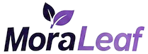recibefacilrecibefacilmx