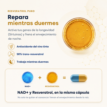 El "Reinicio Celular" ha llegado a España: Recupera tu energía y apaga el envejecimiento sin recetas médicas.